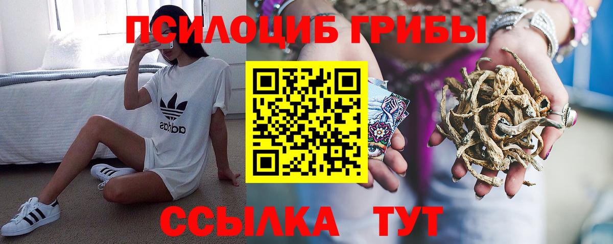 Галлюциногенные грибы прущие грибы  Вход с VPN  Дивногорск 