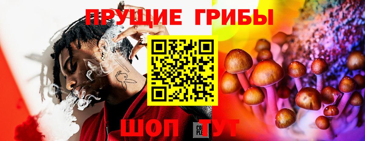 Псилоцибиновые грибы Magic Shrooms Дивногорск